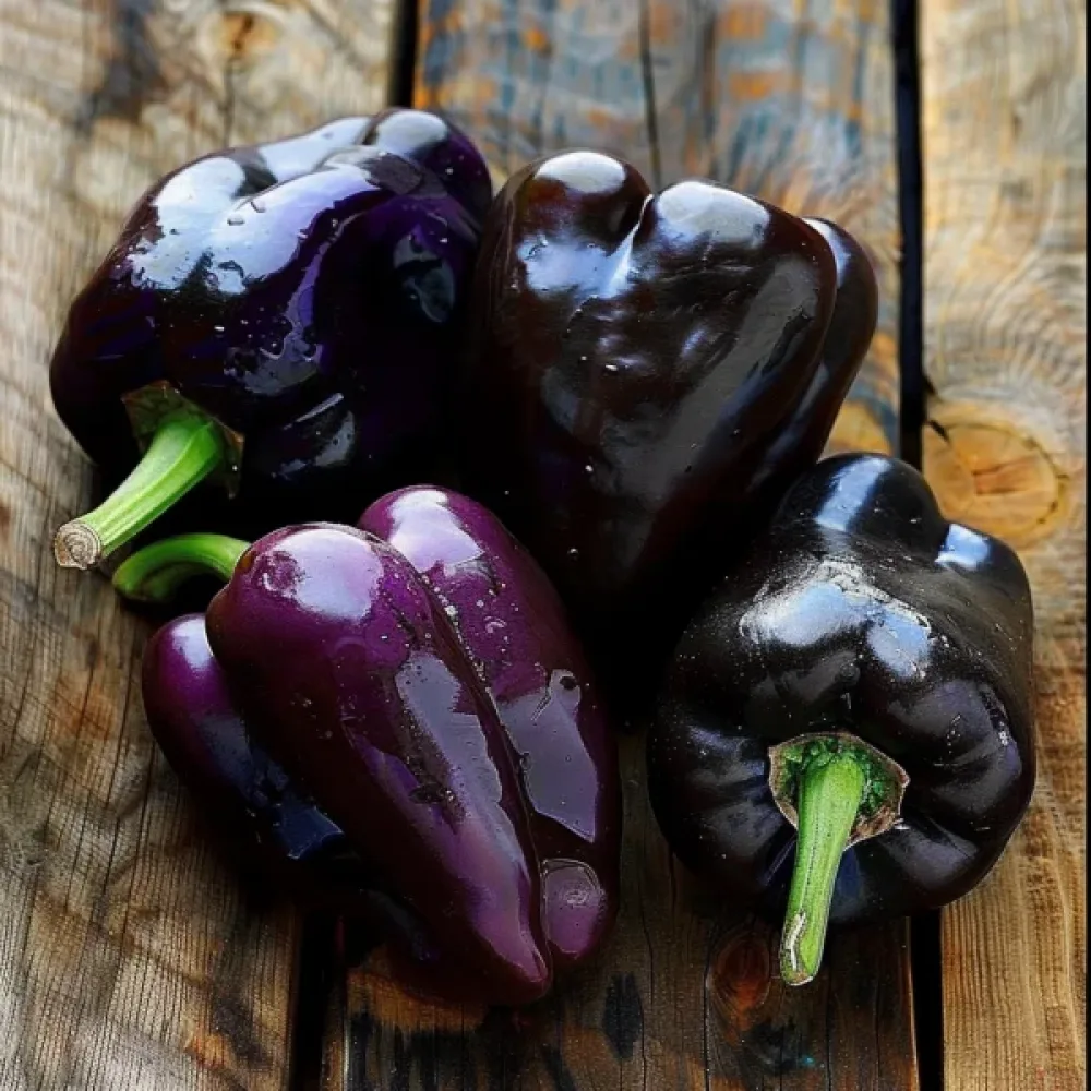 Paprika 'Zulu'