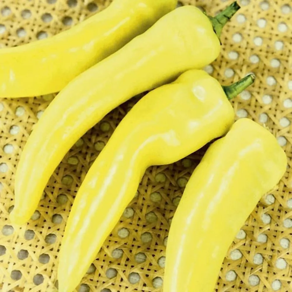 Paprika 'Sweet Banana'