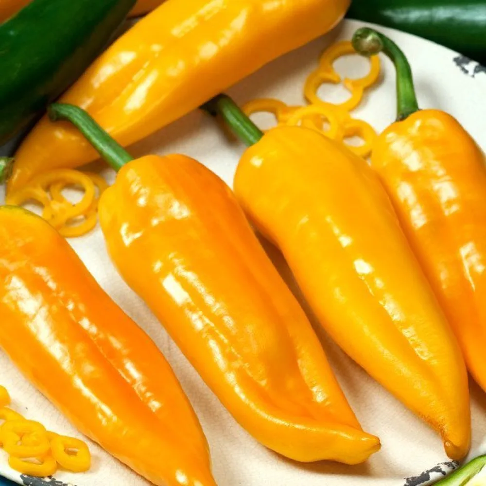 Paprika 'Corno Giallo'