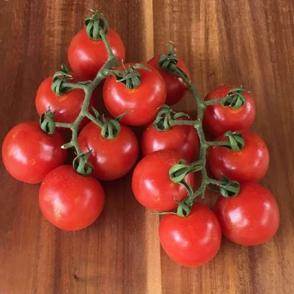 Körsbärstomat 'Red Cherry'