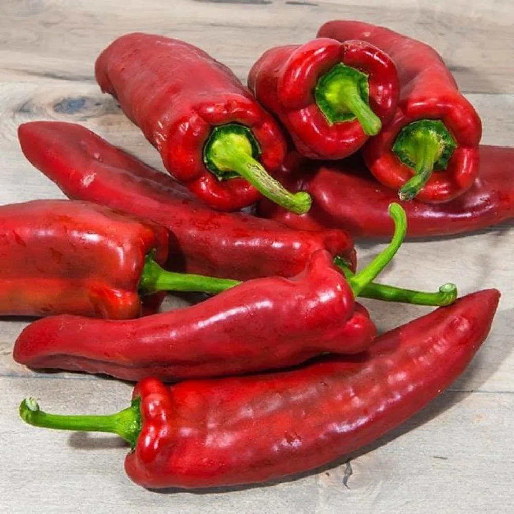 Paprika 'Marconi'