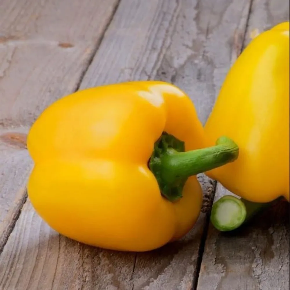 Paprika 'Yellow California Wonder'