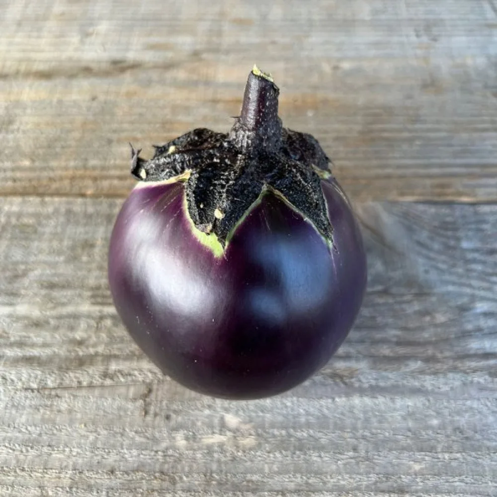 Aubergine 'Ronde de Valence'
