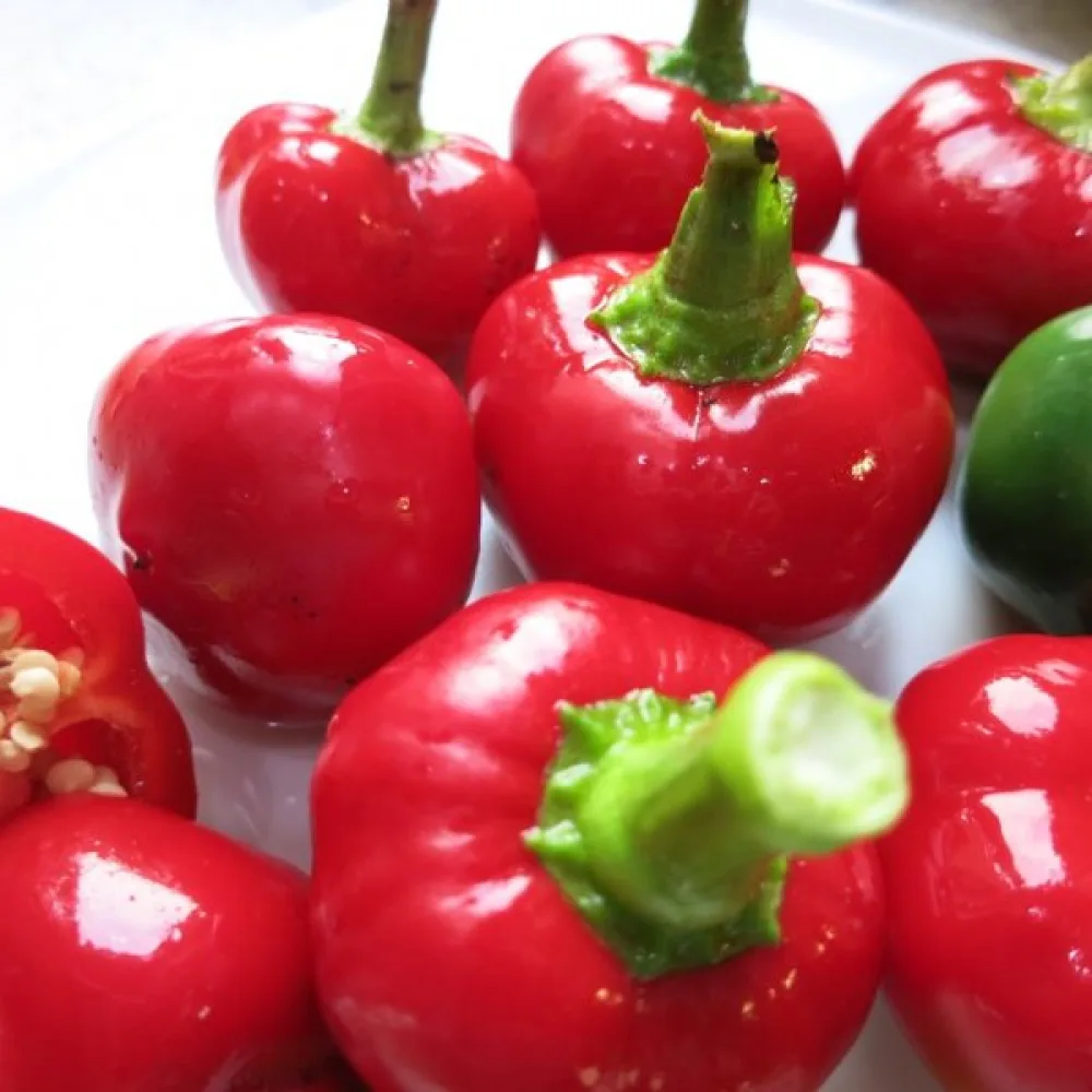 Tomatpaprika 'Oleńka'