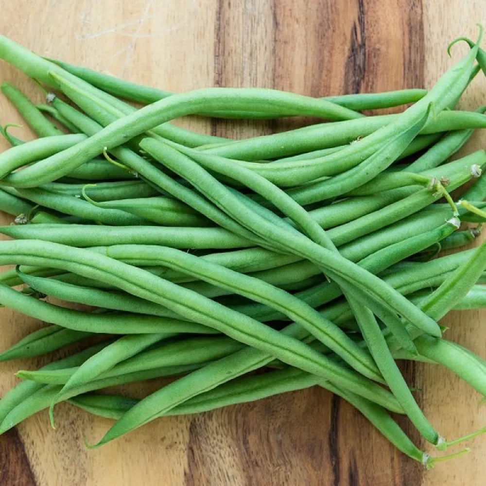 Trädgårdsböna 'Topcrop'