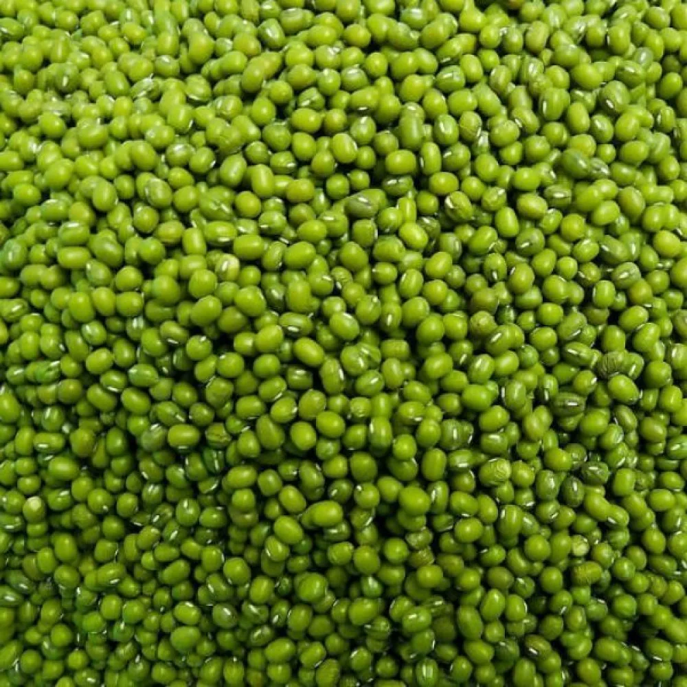 Mungböna