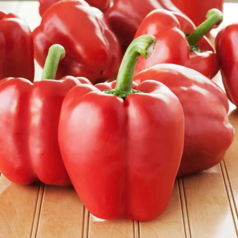Paprika 'Quadrato d'Asti Rosso'