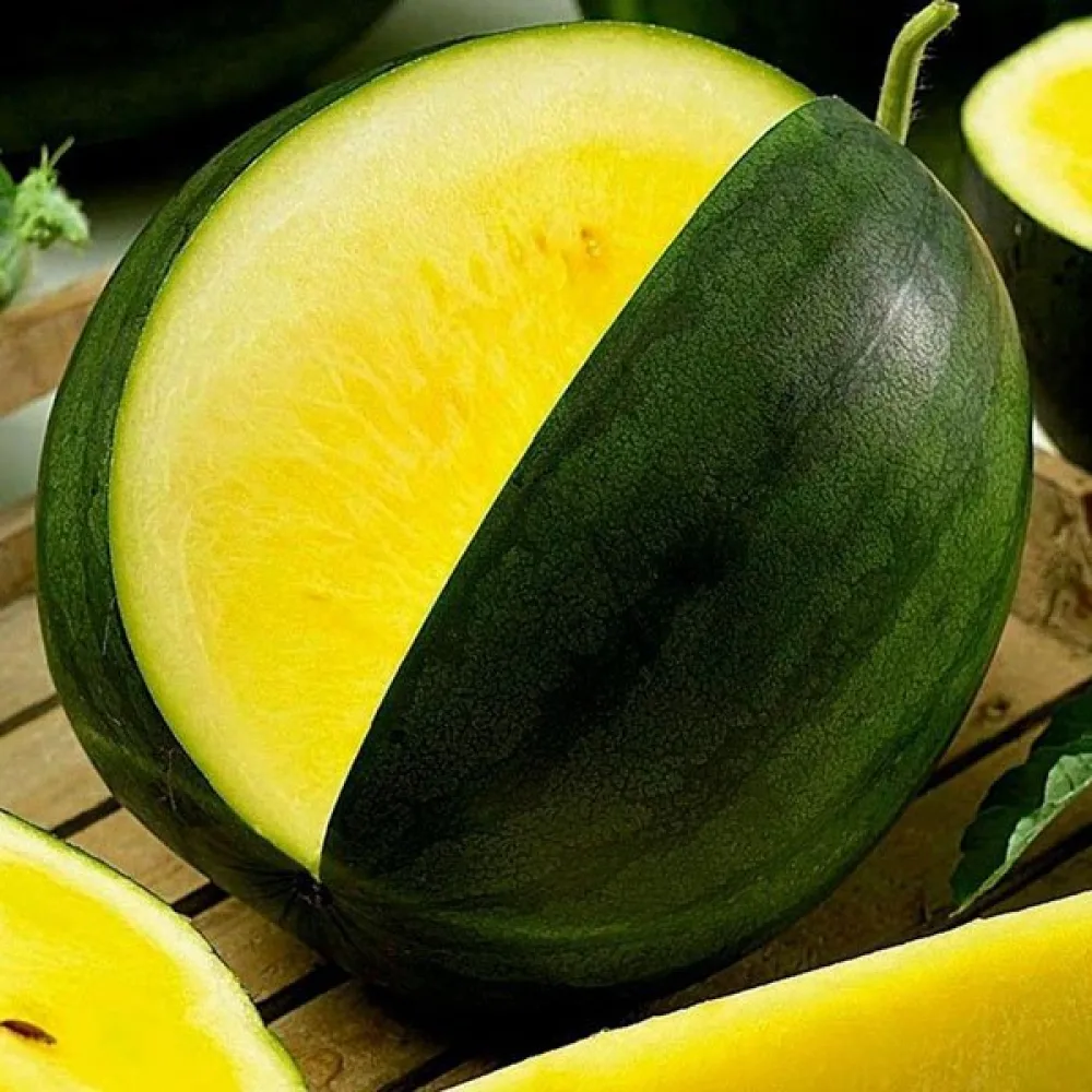 Vattenmelon 'Janosik' 3–4 kg