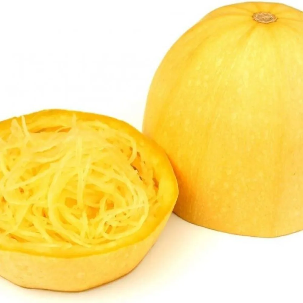 Spaghettipumpa 'Makaronowa Warszawska'