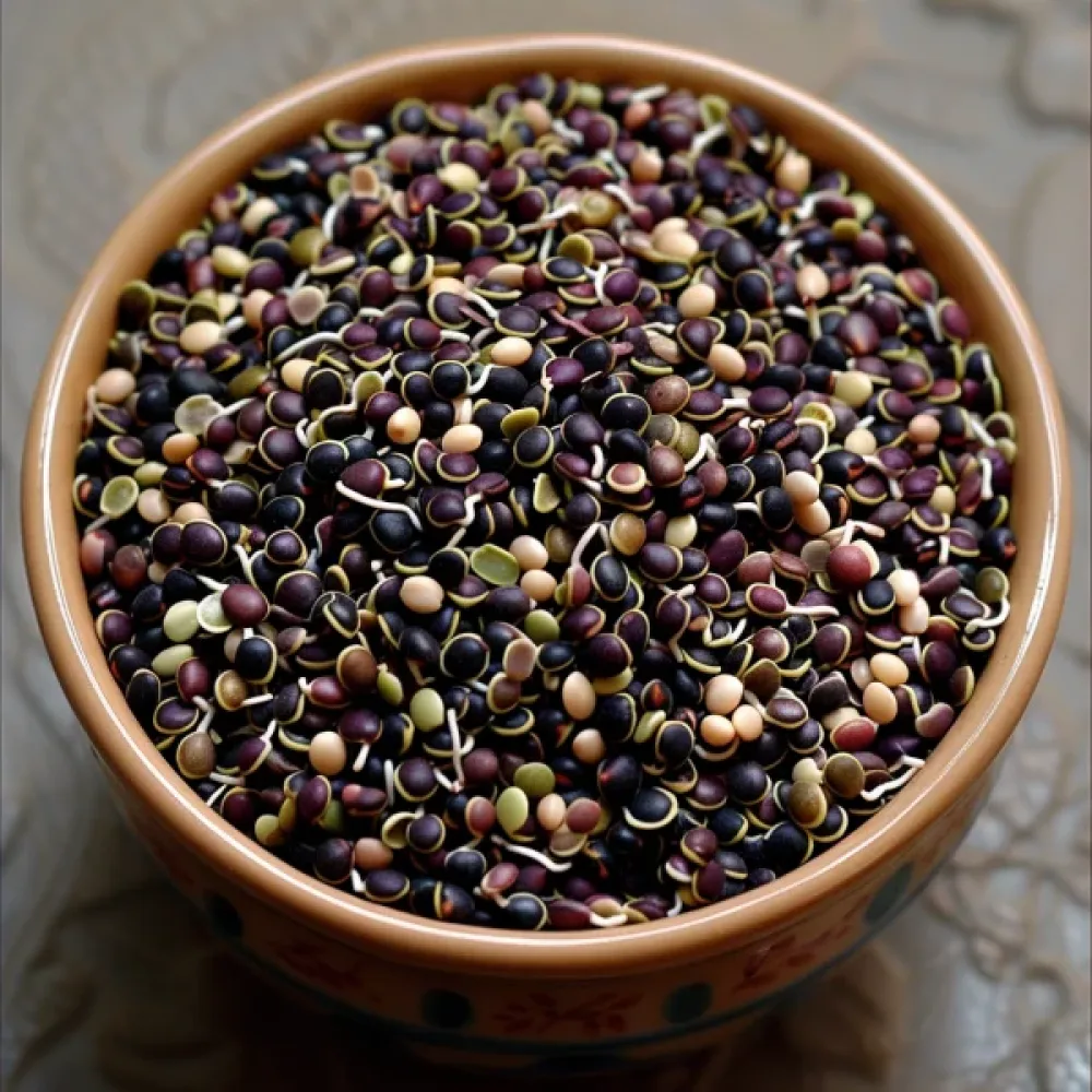 Groddfröblandning – Rysk mix