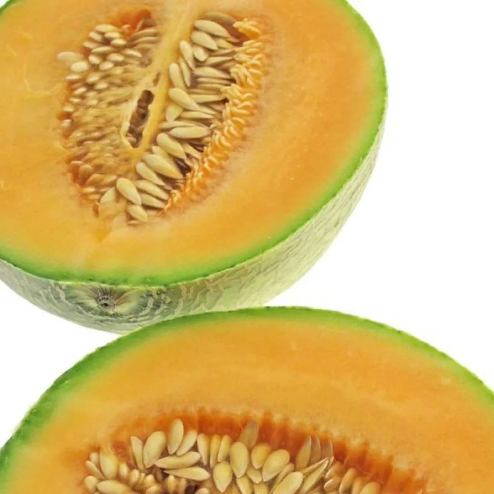 Melon 'Cantalupo di Charentais'