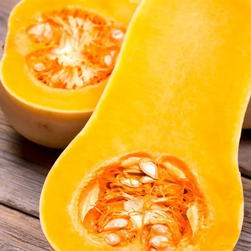 Vinterpumpa 'Wrinkled Butternut'