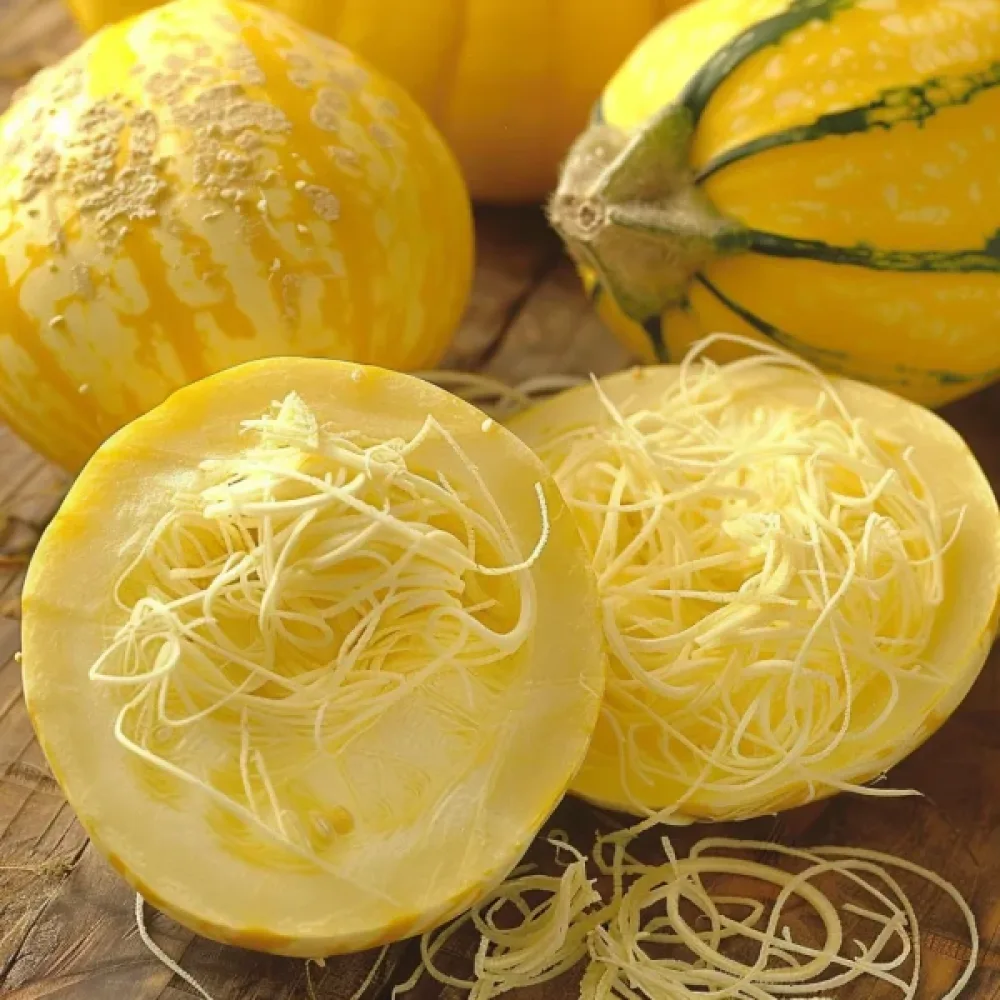Spaghettipumpa 'Pyza'