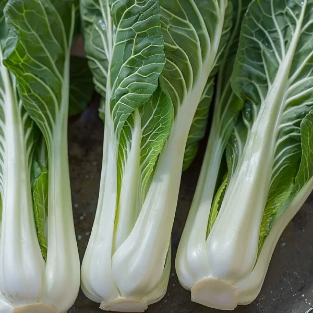 Pak choi, grön, för mikrogrönt