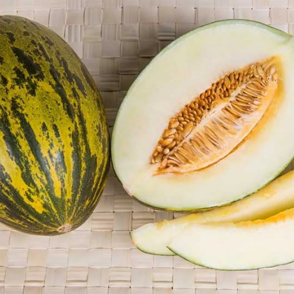 Melon – mix