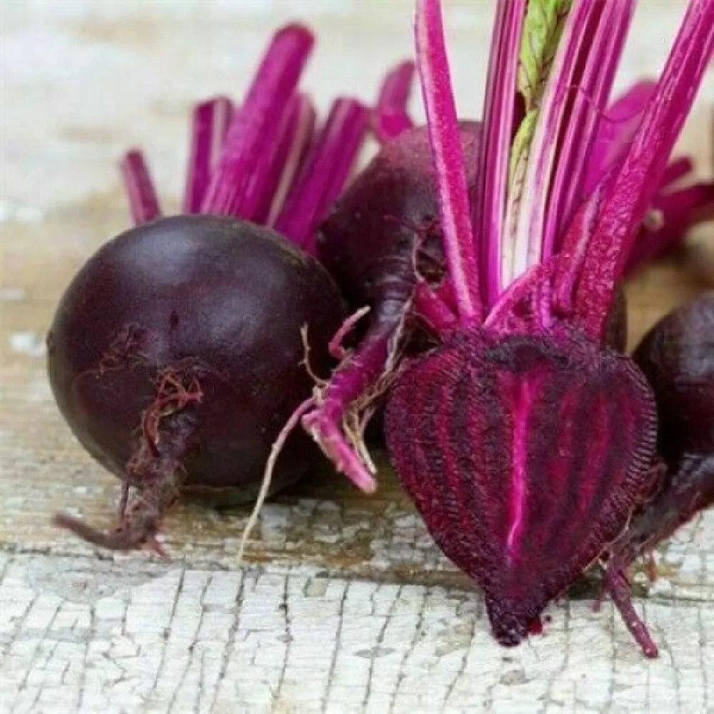 Rödbeta 'Bull's Blood'