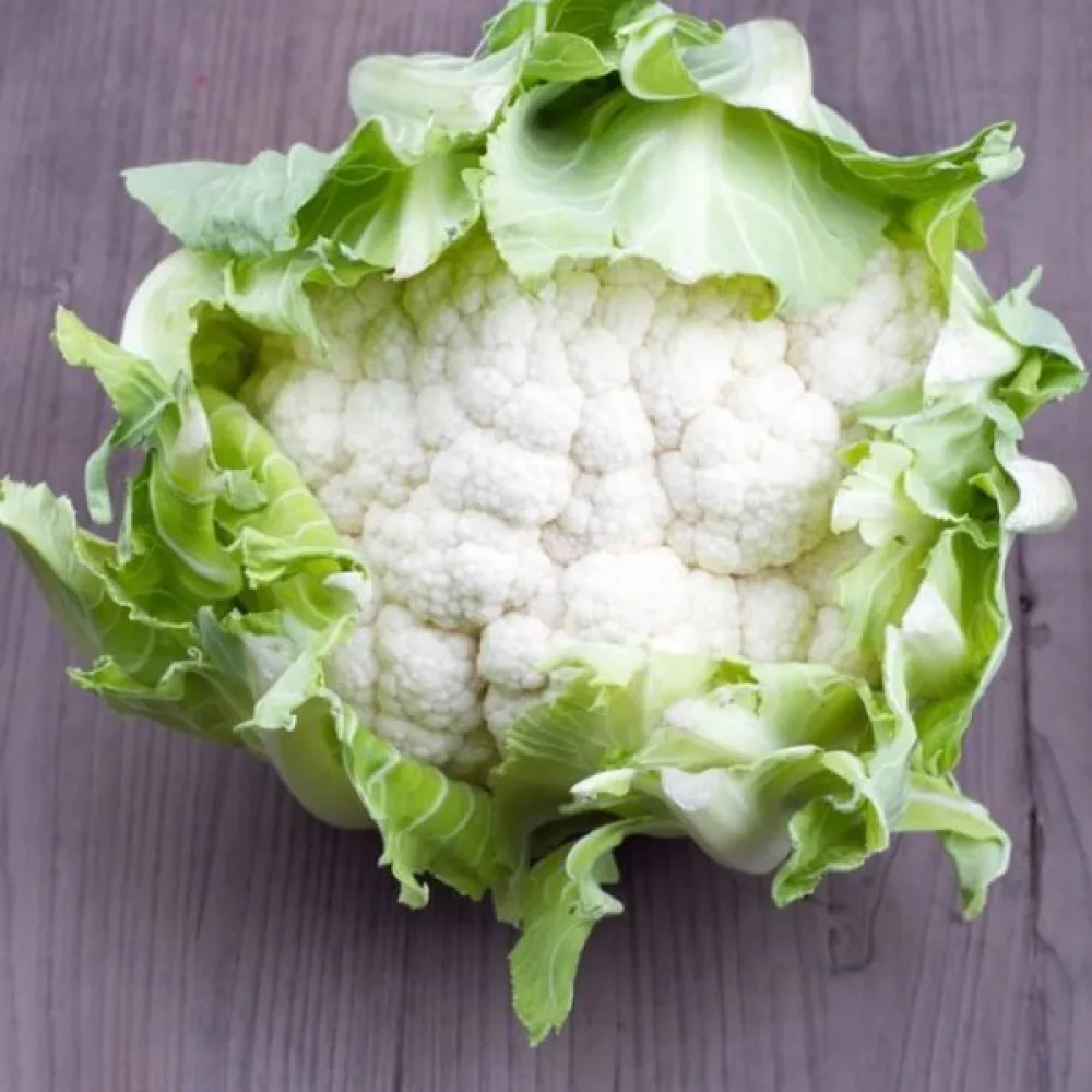 Blomkål 'Igloo'