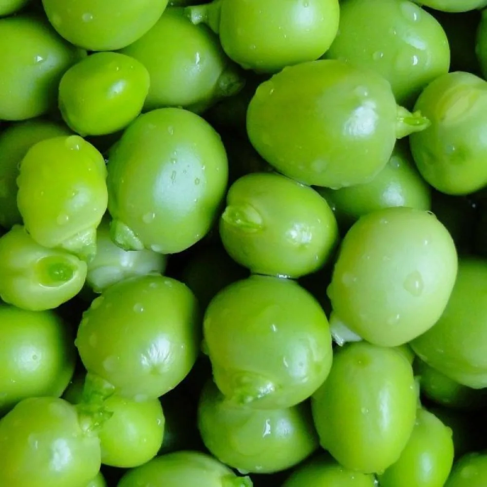 Spritärt 'Roi des Conserves'