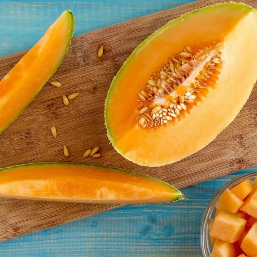 Melon 'Melba'