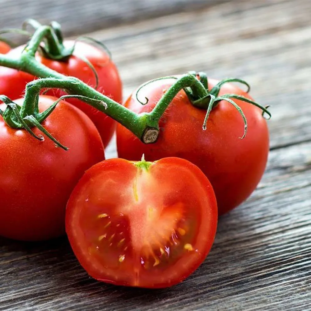 Körsbärstomat 'Gardener's Delight'