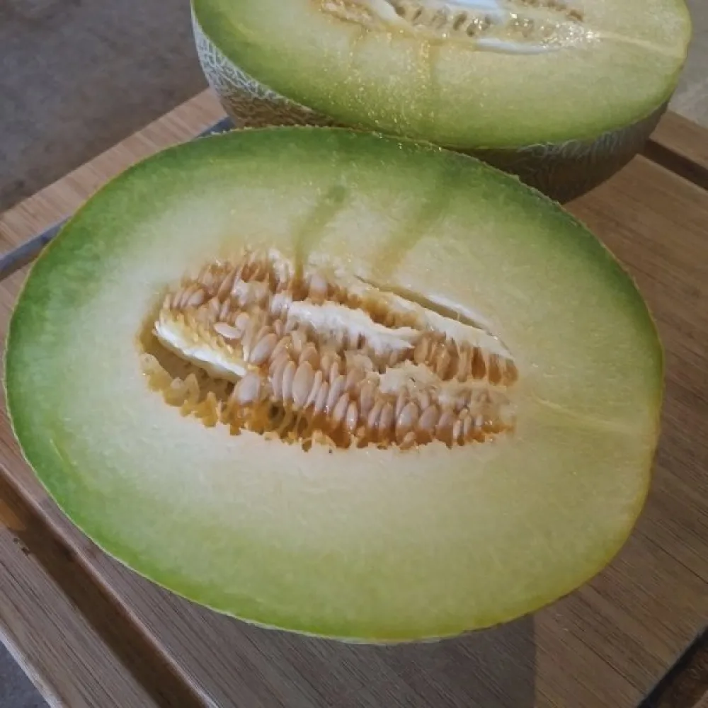 Melon 'Seledyn' F1