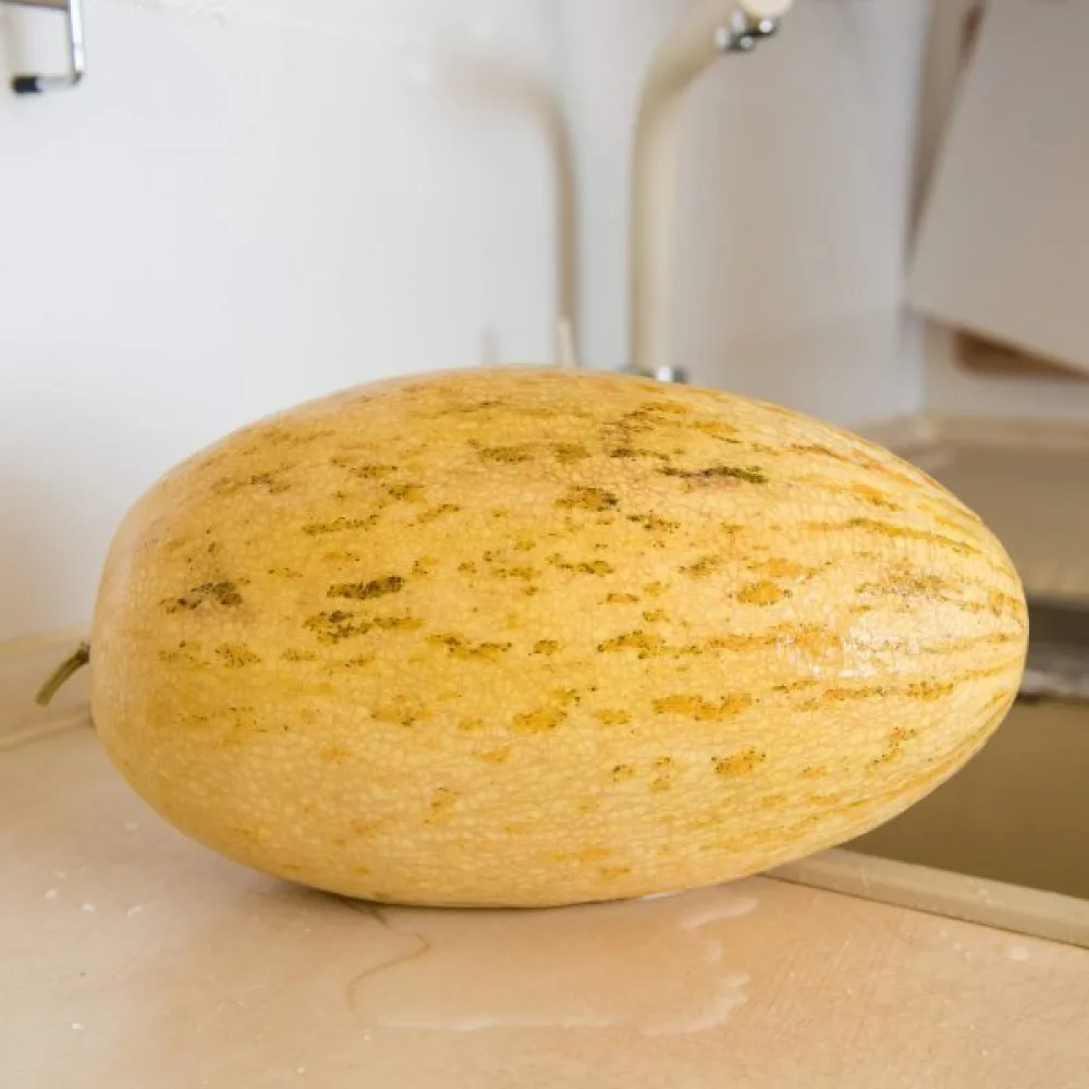 Melon – mix