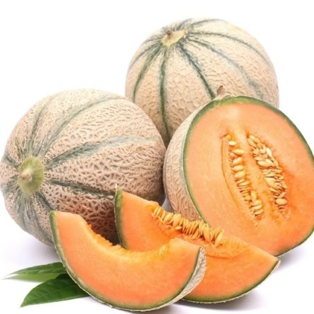 Melon 'Malaga' F1