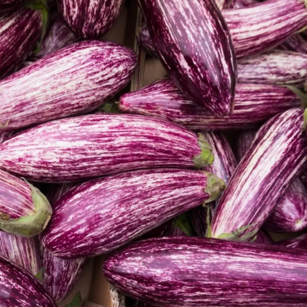 Aubergine 'Tsakoniki'