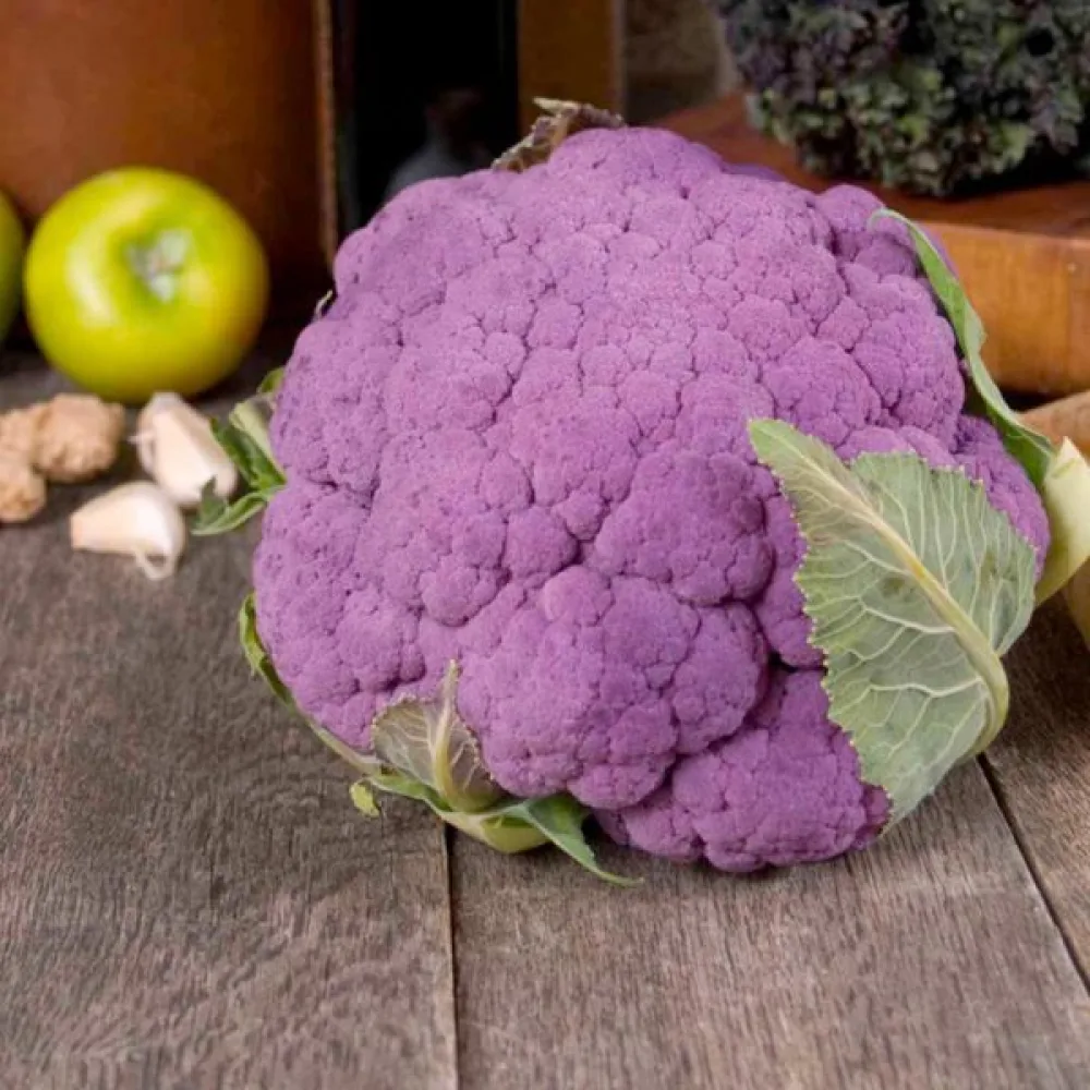 Blomkål 'Di Sicilia Violetto'