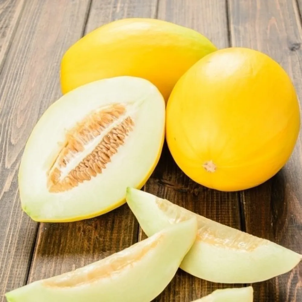 Melon 'Oliwin'