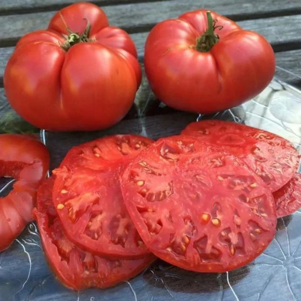 Tomat 'Beefsteak'