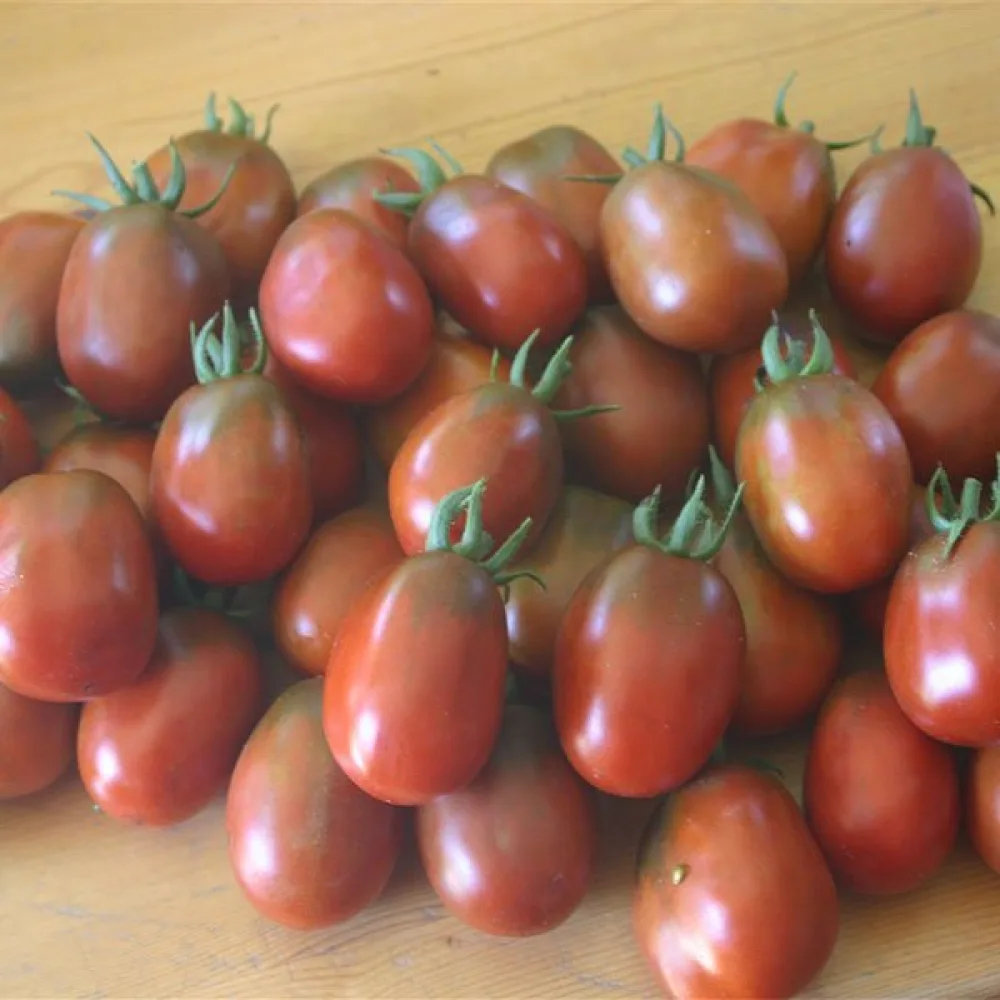 Körsbärstomat 'Black Plum'