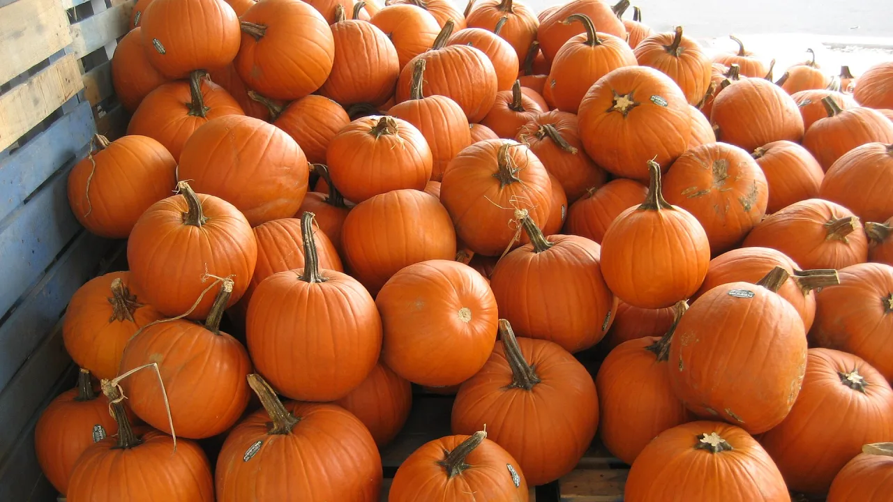 En hög orange pumpor på marknaden