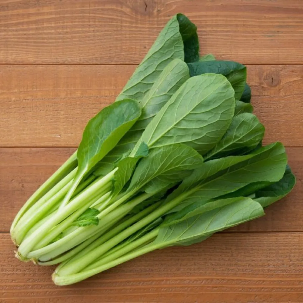 Komatsuna, grön, för mikrogrönt