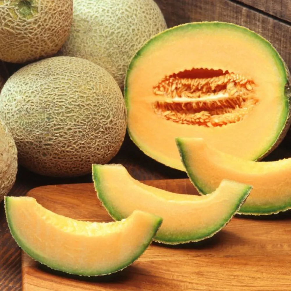 Melon 'Cantalupo di Charentais'