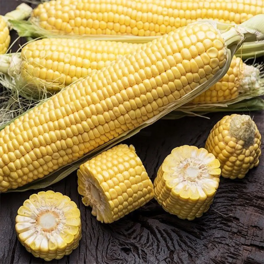 Sockermajs 'Ramondia'