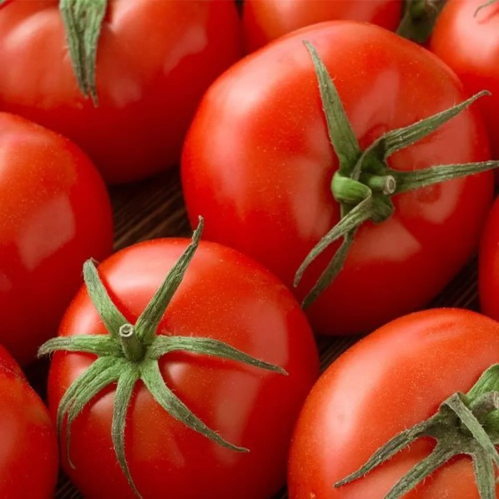 Tomat 'Betalux'