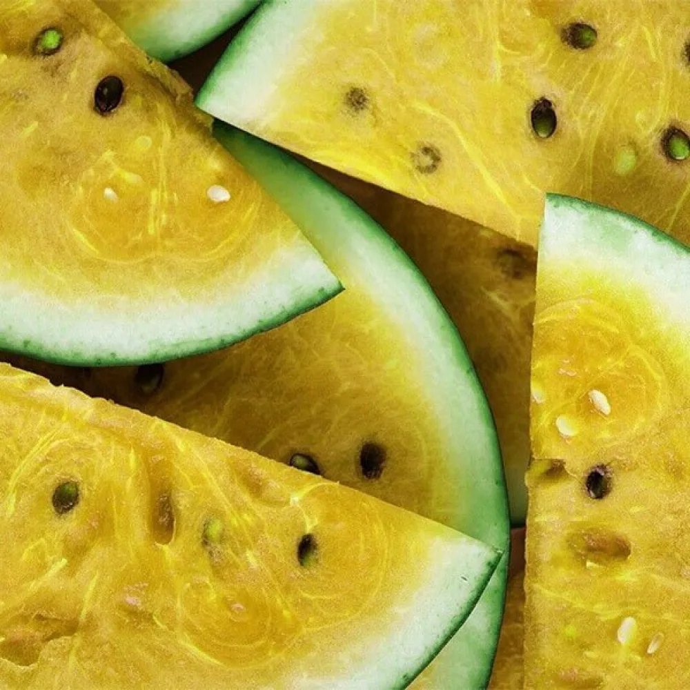 Vattenmelon 'Janosik' 3–4 kg