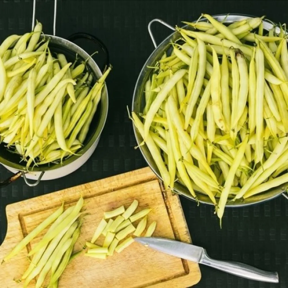 Trädgårdsböna 'Berggold'