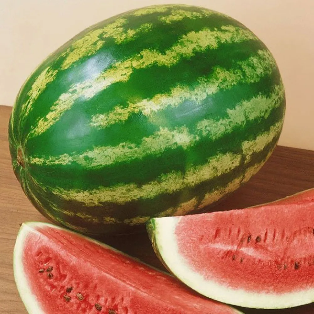 Vattenmelon 'Crimson Sweet' 8–10 kg