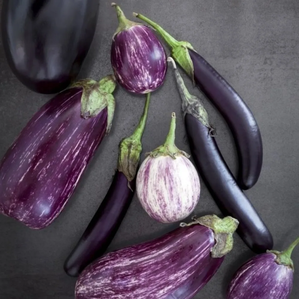 Aubergine, blandning