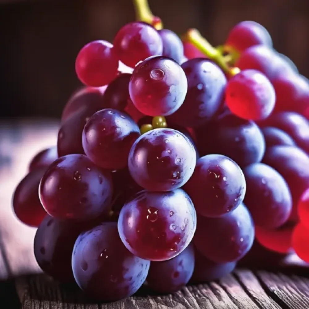 Vinranka 'Ruby Seedless' – kärnfri druva, sen
