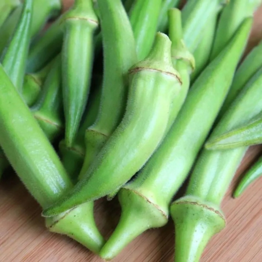 Okra 'Emerald'