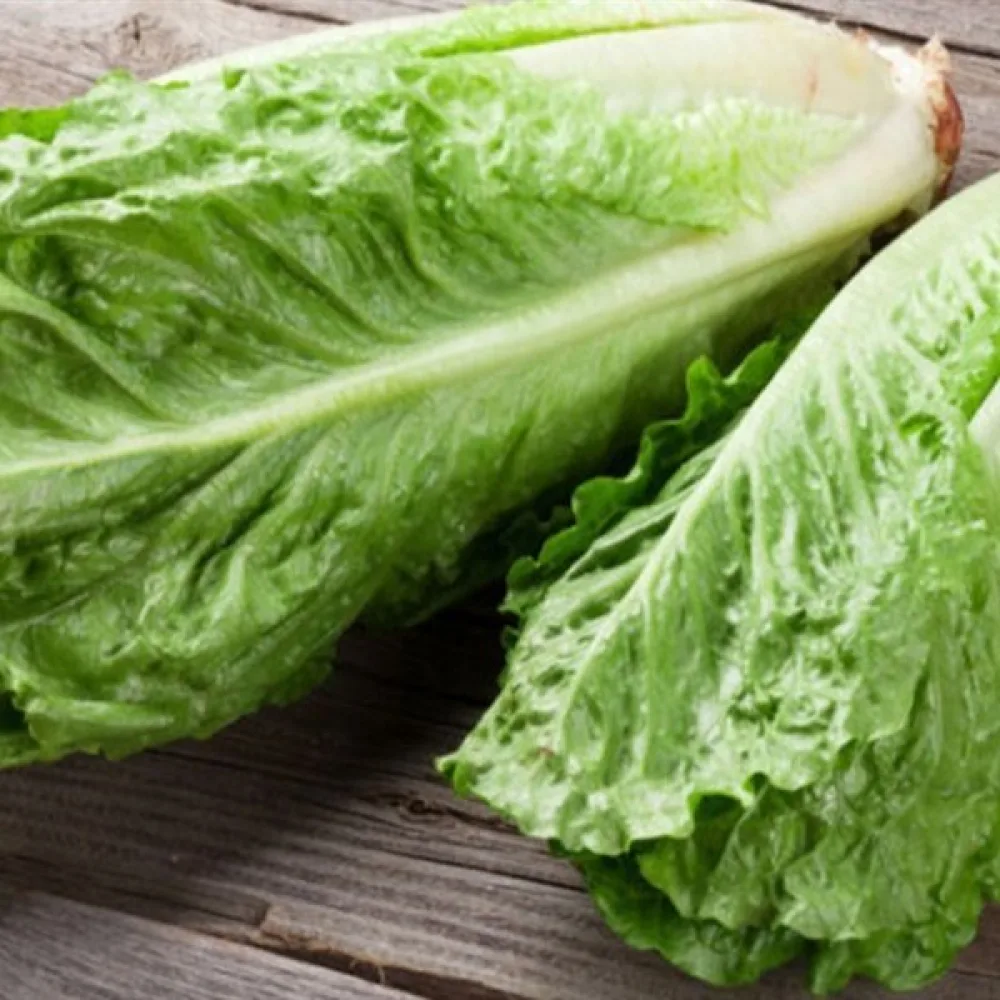 Romansallad 'Lentissima a Montare'