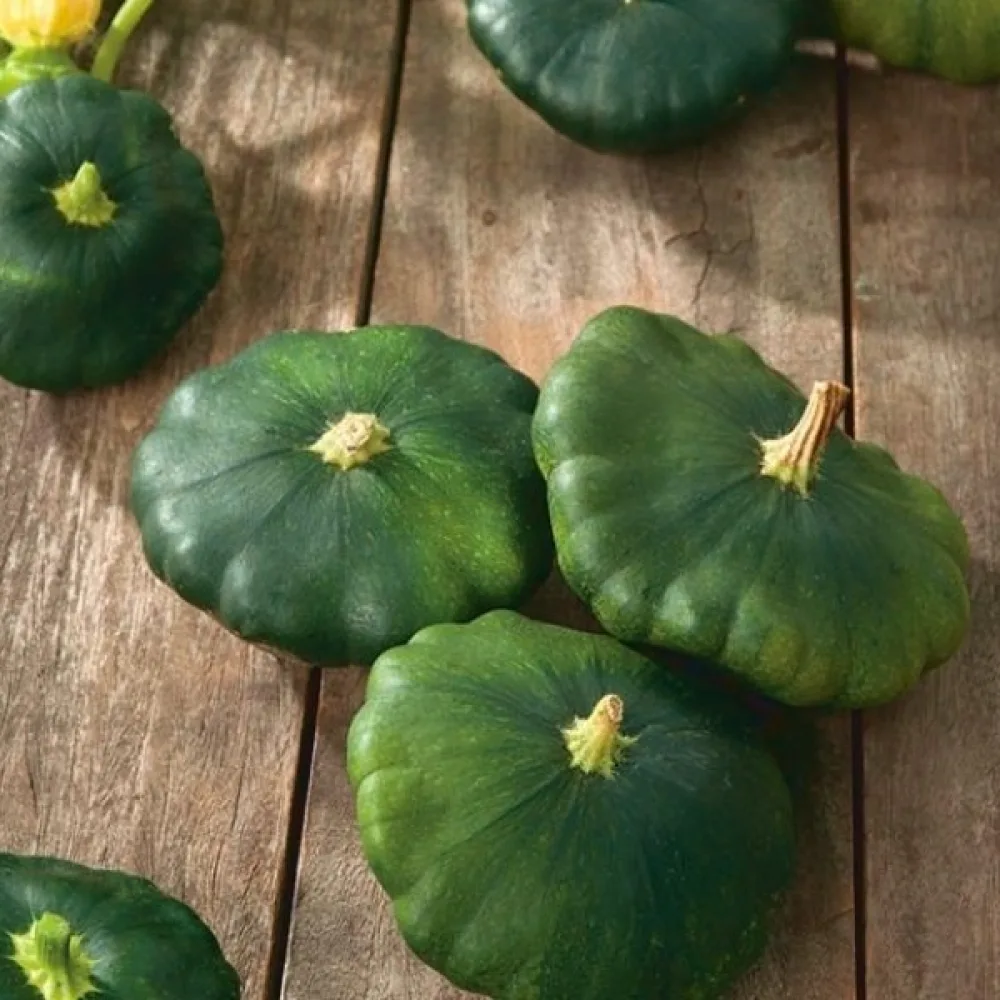 Patisson 'Okra'