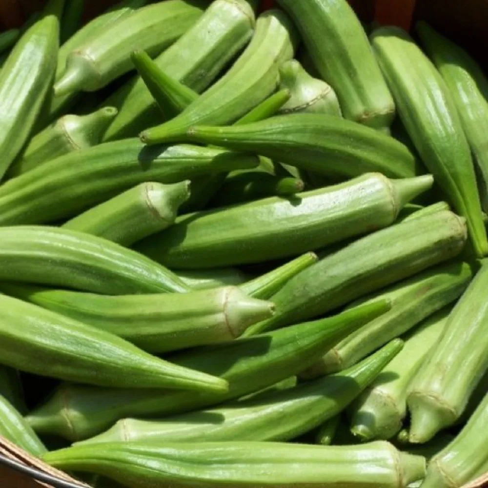 Okra 'Clemson Spineless'