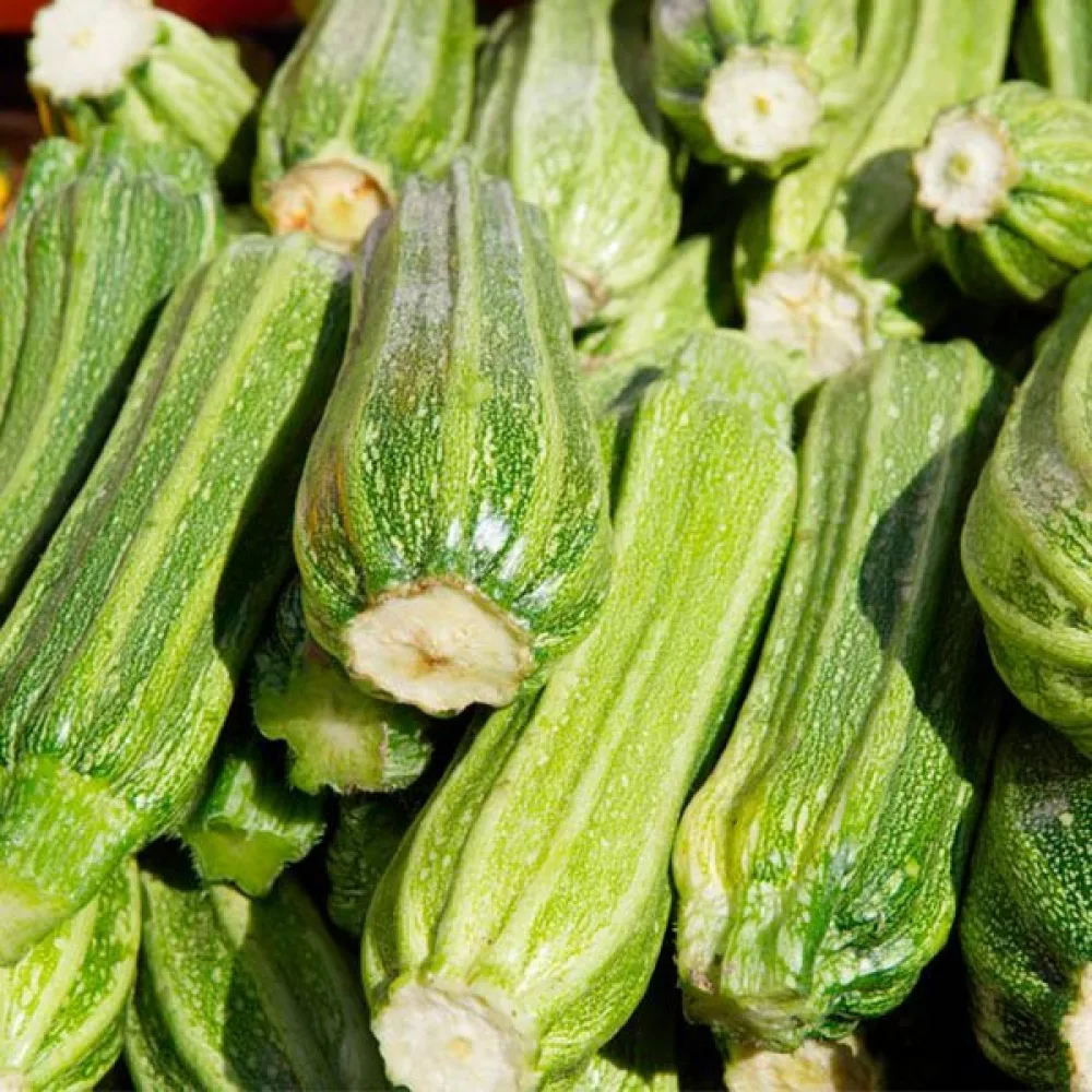 Zucchini 'Romanesco'