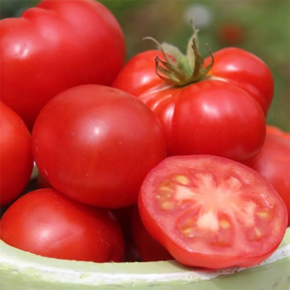 Tomat 'Rotkäppchen'