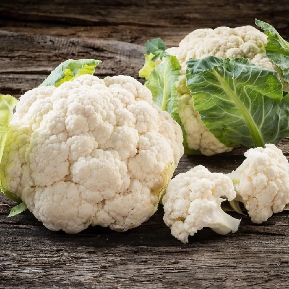Blomkål 'Early Snowball X'
