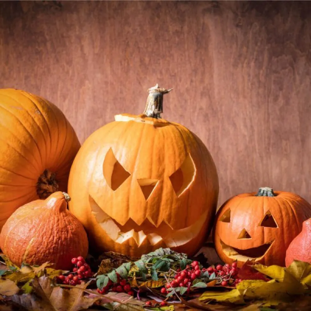 Pumpa 'Jack O'Lantern'